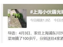 上海一小伙薅光奶奶家100多斤菜送抗疫酒店：奶奶其实挺高兴的【快讯】