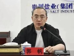 贵州盐业原总经理郭帆被公诉 涉嫌受贿罪案提起公诉