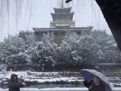 网友直播分享济南暴雪 市民热情记录雪景【热搜】