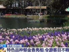 春天里的中国活力满满 花开遍地赏春忙【热搜】